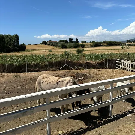 Casal Chiarone Nyaraló Montalto di Castro